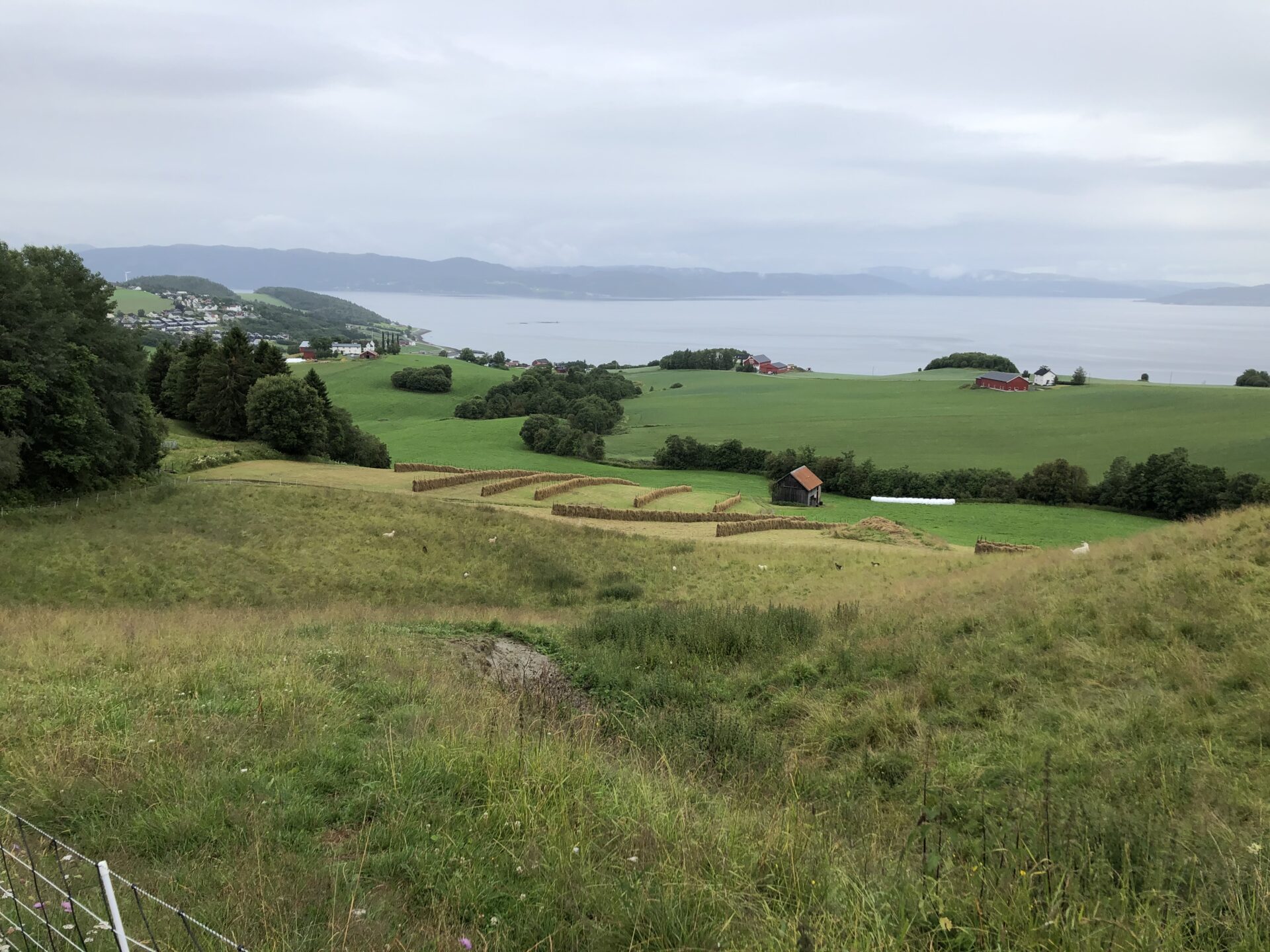 Hesjer og naturlandskap med utsikt over fjorden