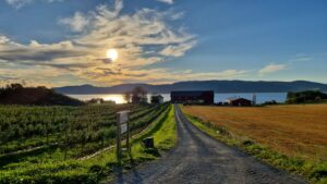 Hangran Nerigard - gårdsvei, gården og kulturlandskap
