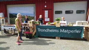 Åpen gård med marked, lokalmat og mennesker