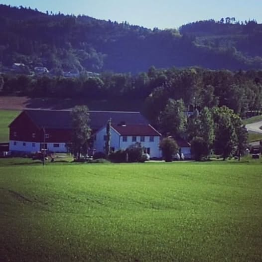 Tiller bystuen gård